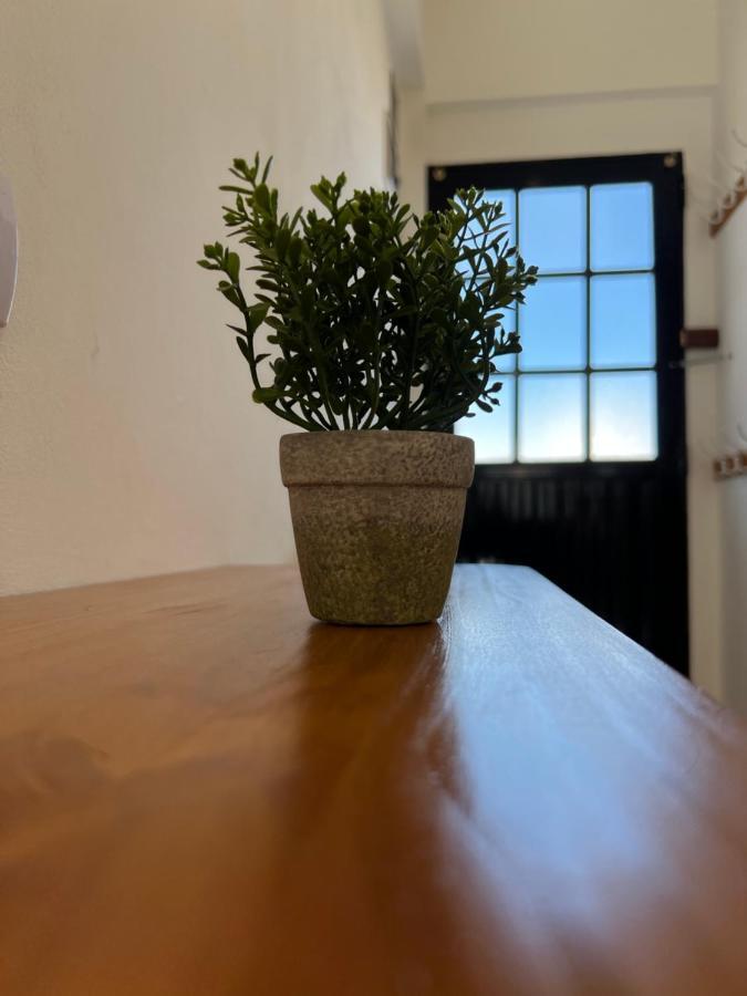 Tiny -refugio- A 5 Minutos Del Centro En Auto Apartment *